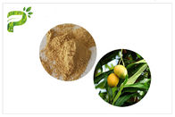 مسحوق مستخلصات نباتية طبيعية مضادة للالتهاب Mangiferin من المانجو ليف